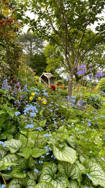 Calder House Lane Gardens